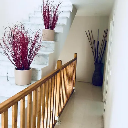 Casa Aurorabikinis
